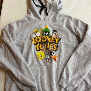 Looney Tunes Gray Hoodie - Size 3XL
